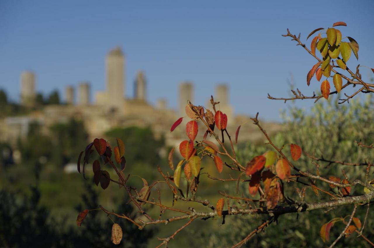 Apartament Il Borgo Antico San Gimignano Pokój zdjęcie